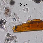 Orthopyroxene