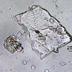 Plagioclase